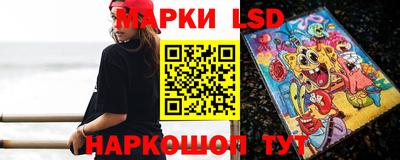 шишки Заволжье
