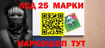 шишки Заволжье