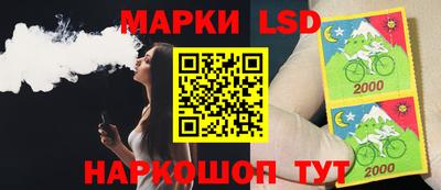шишки Заволжье