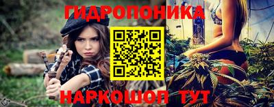 шишки Заволжье