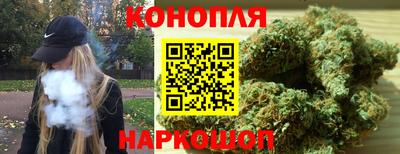 шишки Заволжье