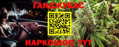 шишки Заволжье