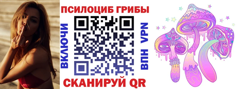 маркетплейс телеграм  купить закладку  Красногорск  Галлюциногенные грибы MAGIC MUSHROOMS 
