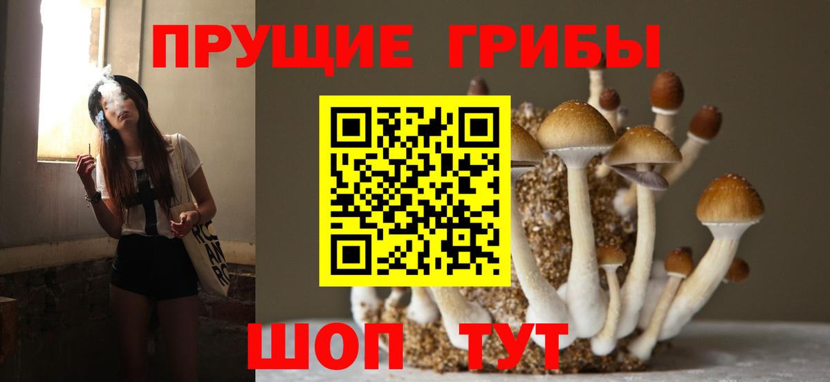 Красногорск  Галлюциногенные грибы мухоморы  Вход с VPN 